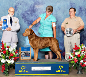 GCH CoolWater's The Tide Is High - "Jesse"